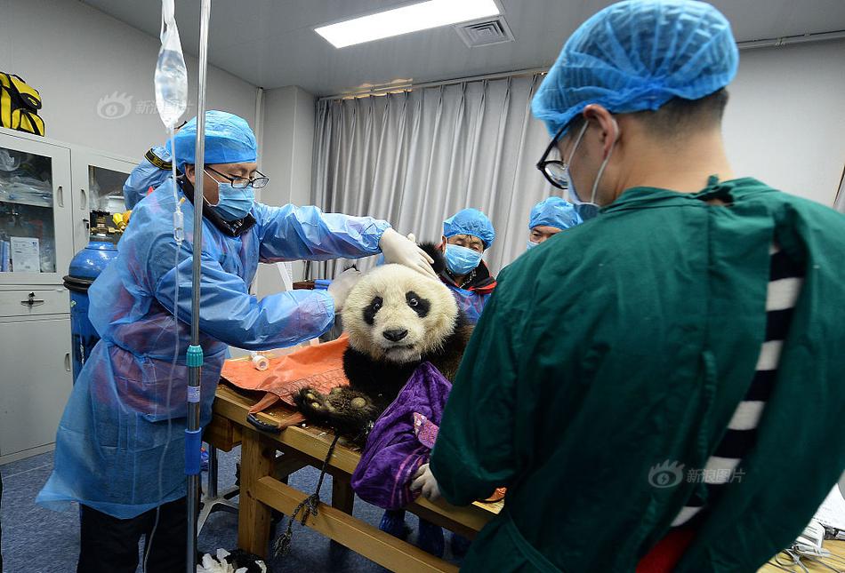 网络文学爱好者必读！新笔趣阁现状及使用建议大揭秘？