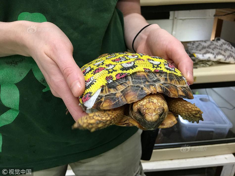 备受关注的死神230模型，设计与工艺究竟有多出色？