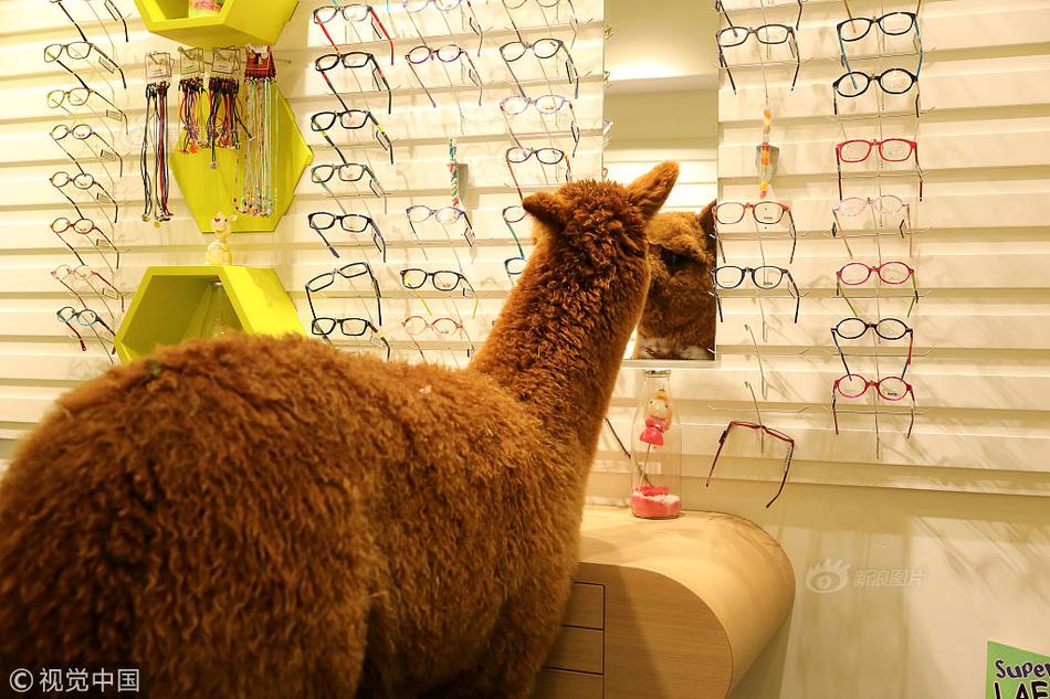 哔哩哔哩隐藏内容怎么找？特殊标签与搜索技巧是关键