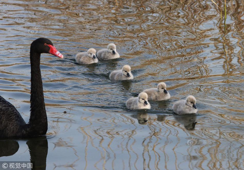 缘之空借兄妹情纠葛引发思索，为何对兄妹恋情描绘引争议？