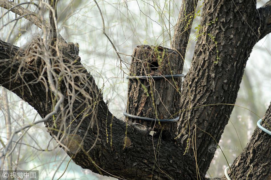 数字阅读普及下,韩漫免费观看的凯发k8国际首页登录的版权风险与安全提示