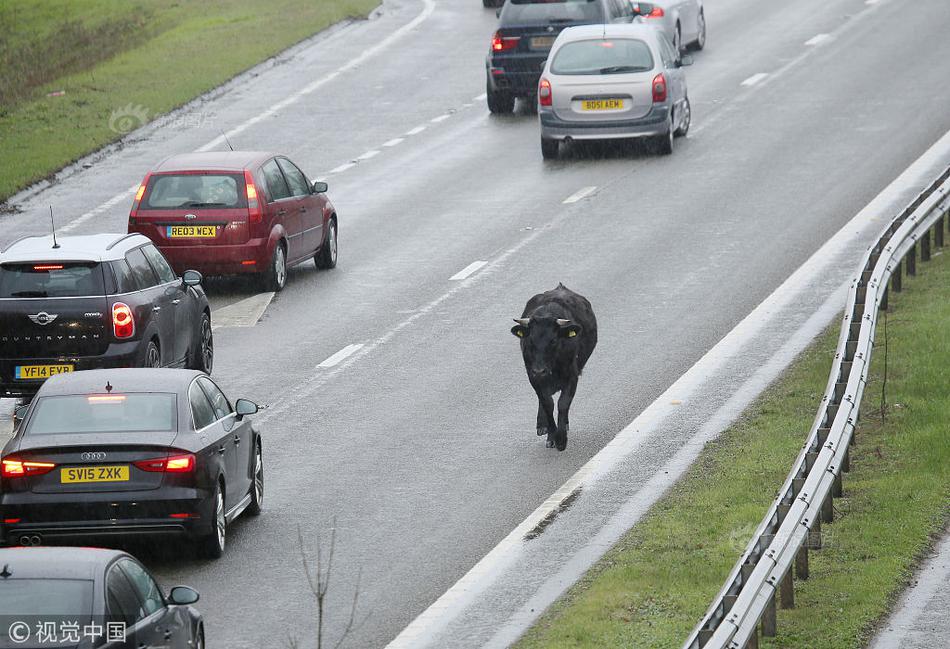 缘之空借兄妹情纠葛引发思索，为何对兄妹恋情描绘引争议？