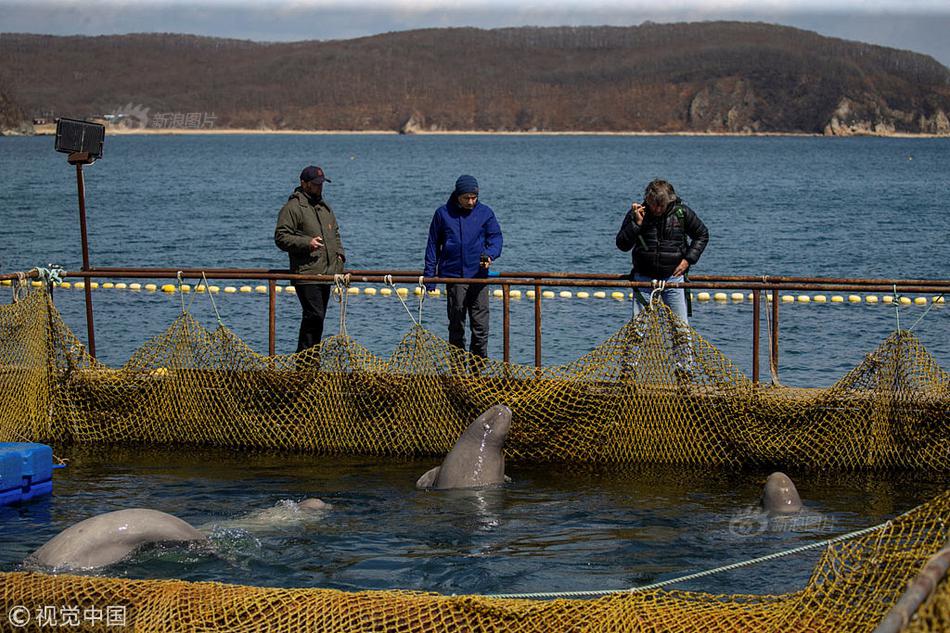 终末的后宫第12集特别版