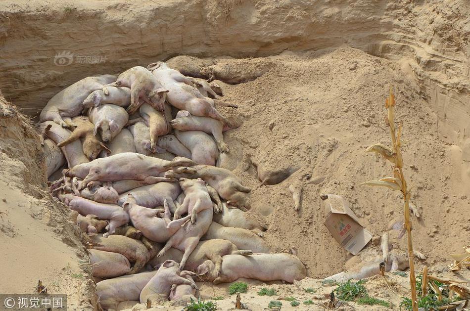 《海贼王第890集》在线观看