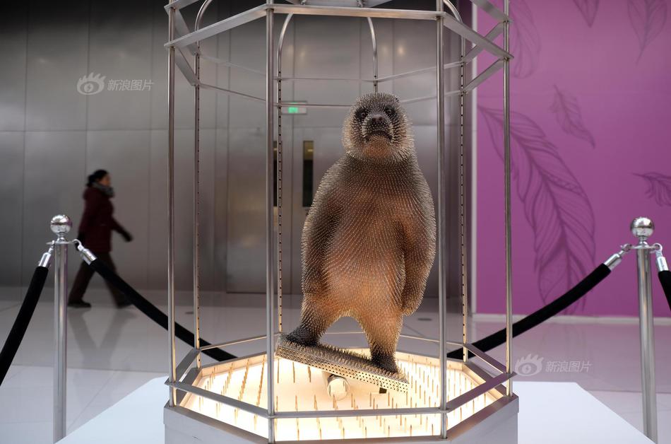 《海贼王第890集》在线观看