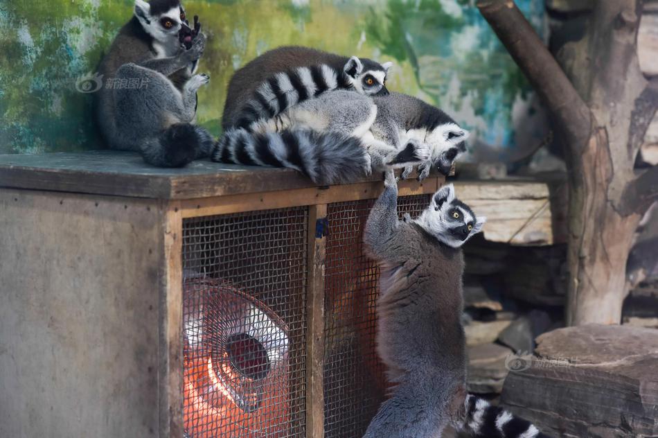 阅站漫画app最新版：免费搜索全网漫画，畅享多种便捷阅读体验