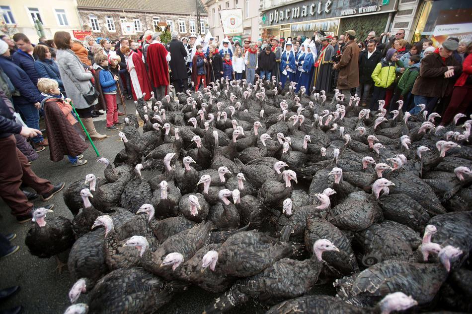 弱点漫画在线观看