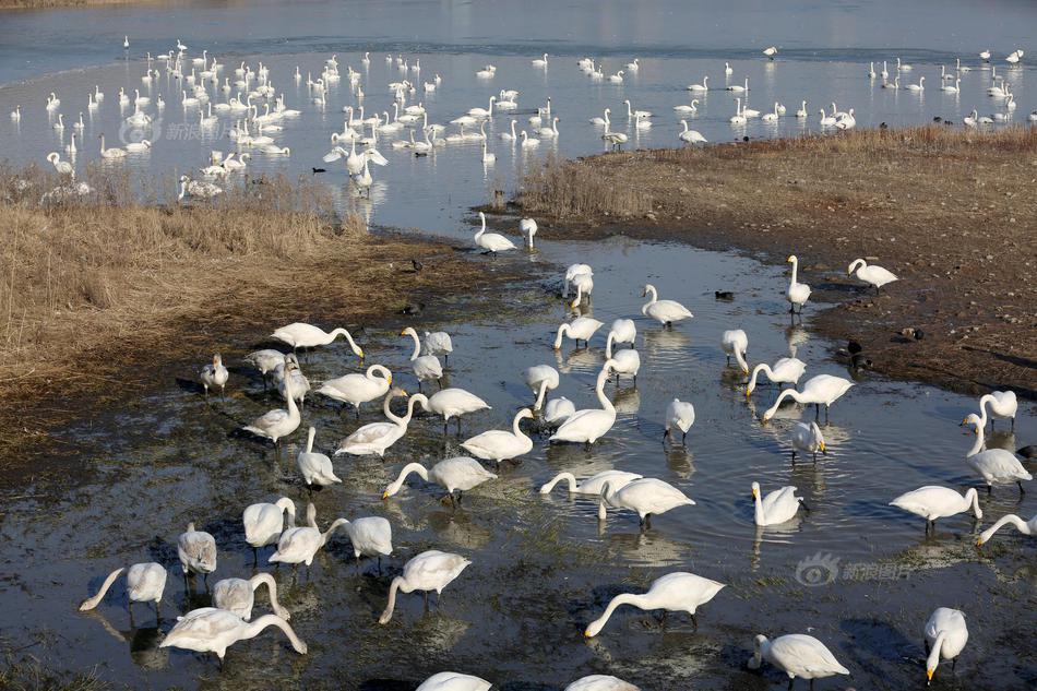 同人：约会大作战datealive ex章节（3） ast存亡战 第一节