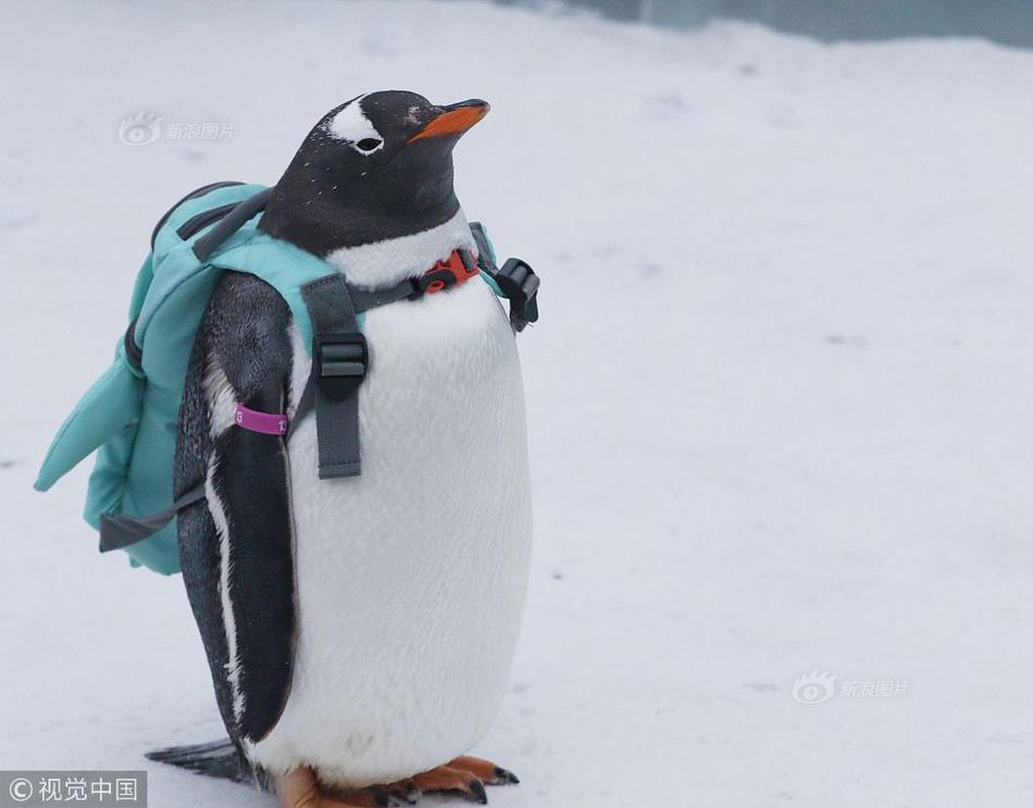 影视作品中万人迷反派为何更吸睛？如何塑造有魅力反派？