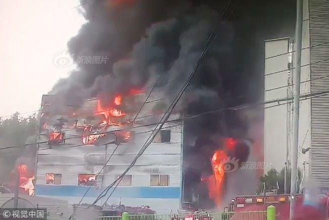 弱点漫画在线观看