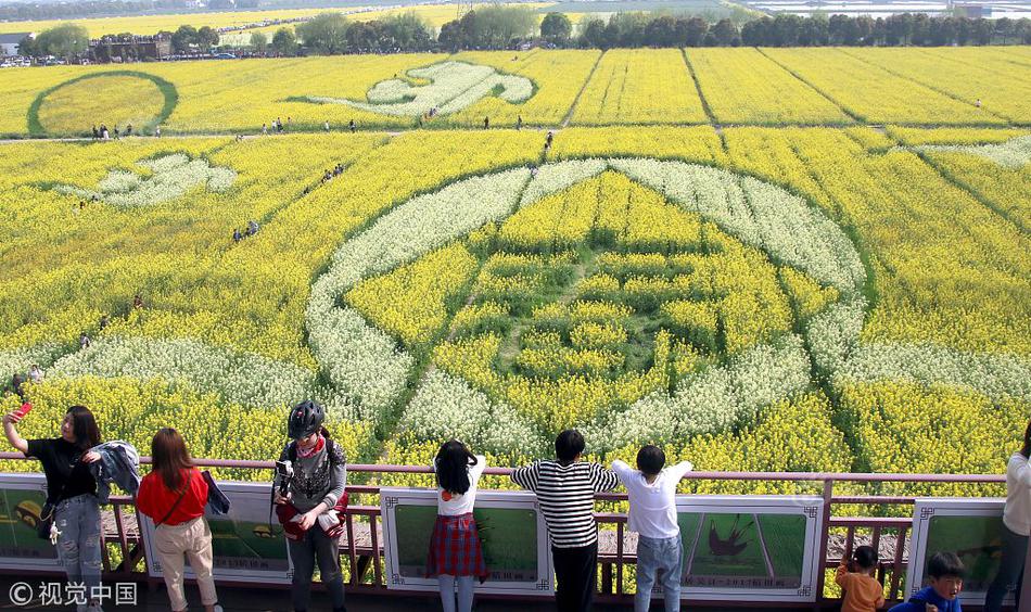 数字阅读普及下，韩漫免费观看的凯发k8国际首页登录的版权风险与安全提示