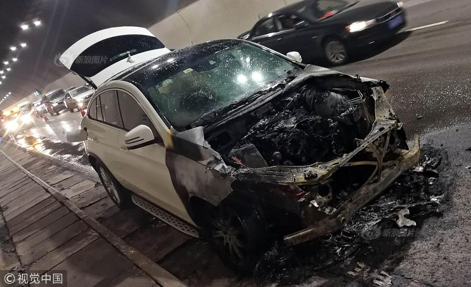 斗破苍穹老粉必看！正版免费观看渠道及支持正版的意义