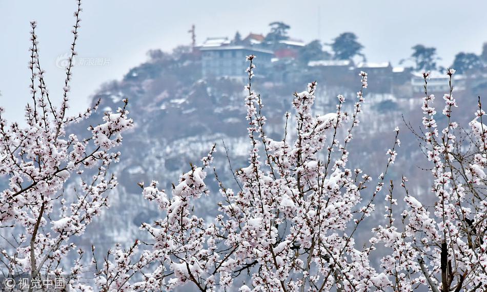 弱点漫画在线观看
