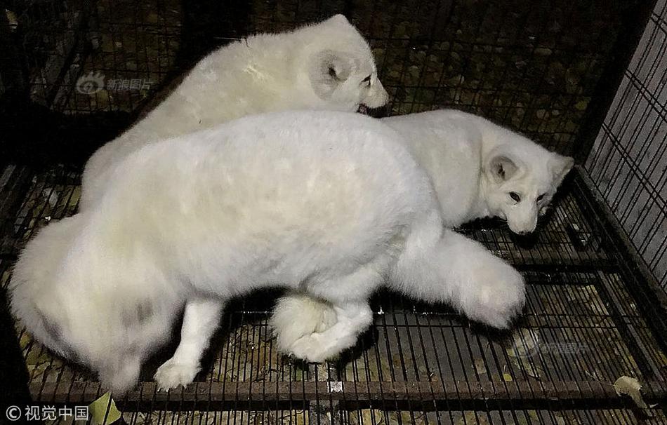 免费漫画阅站app下载安装无广告，畅享丰富漫画资源