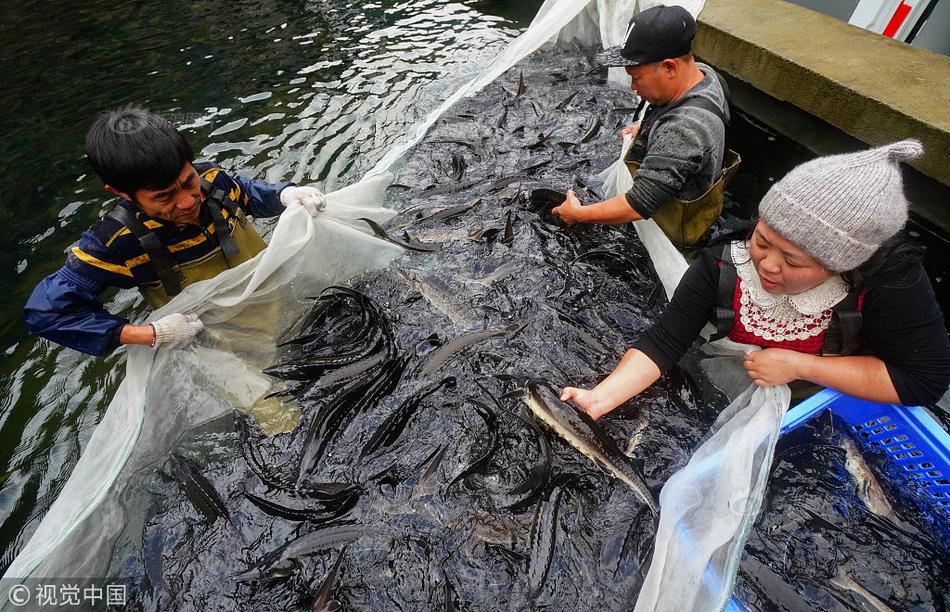免费在线可阅读漫画成首选，却面临凯发k8国际首页登录的版权等难题待剖析？