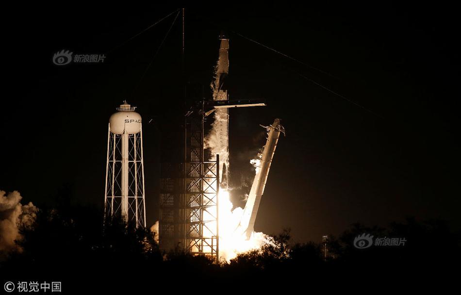 斗罗大陆之逆天龙魂