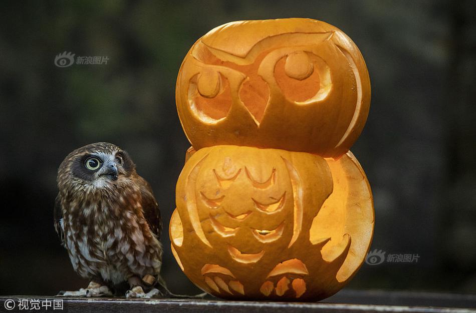 哔哩哔哩隐藏内容怎么找？特殊标签与搜索技巧是关键