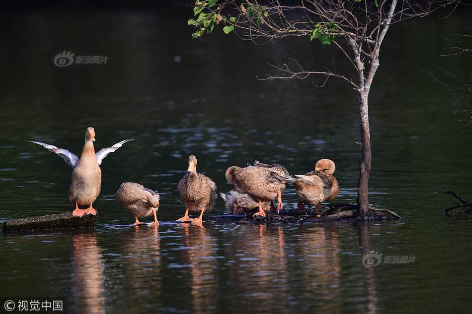 同人：约会大作战datealive ex章节（3） ast存亡战 第一节