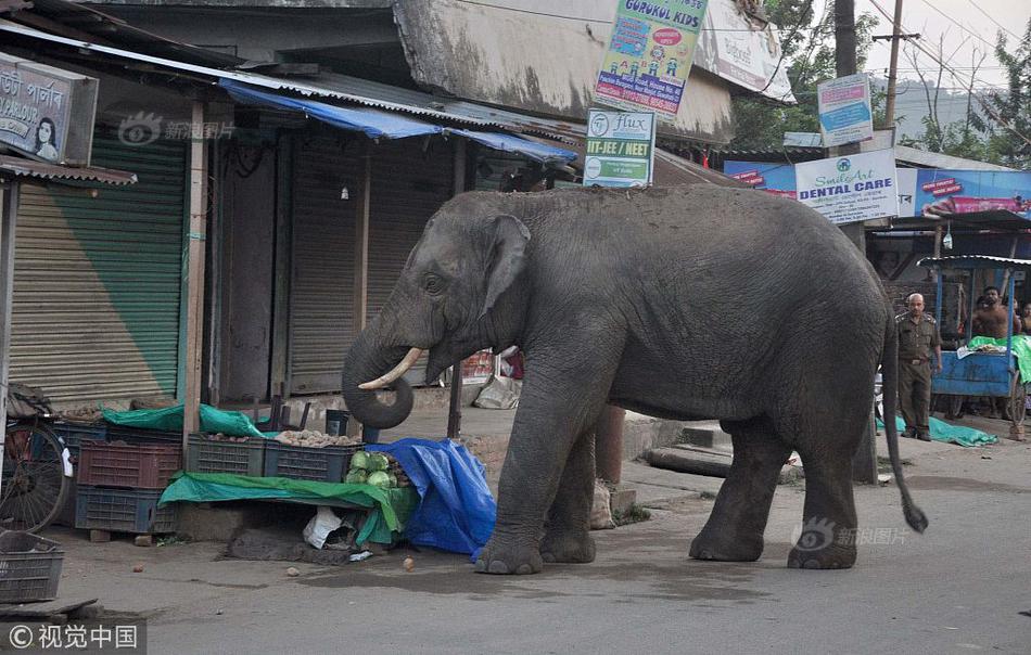 免费漫画阅站app下载安装无广告，畅享丰富漫画资源