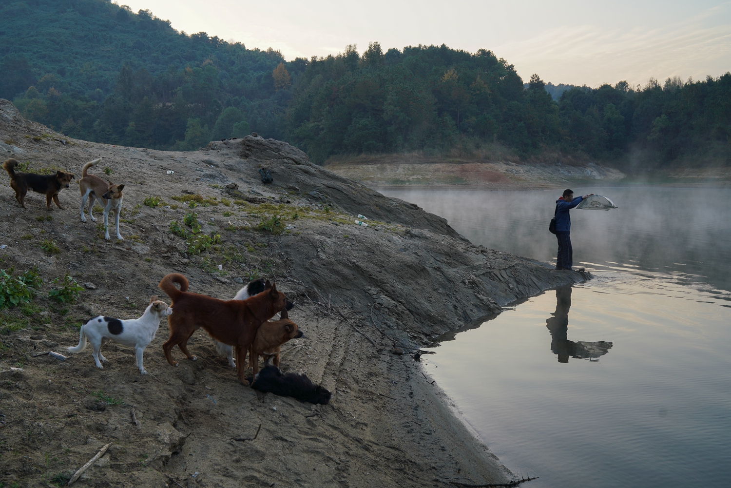 阅站漫画app最新版：免费搜索全网漫画，畅享多种便捷阅读体验