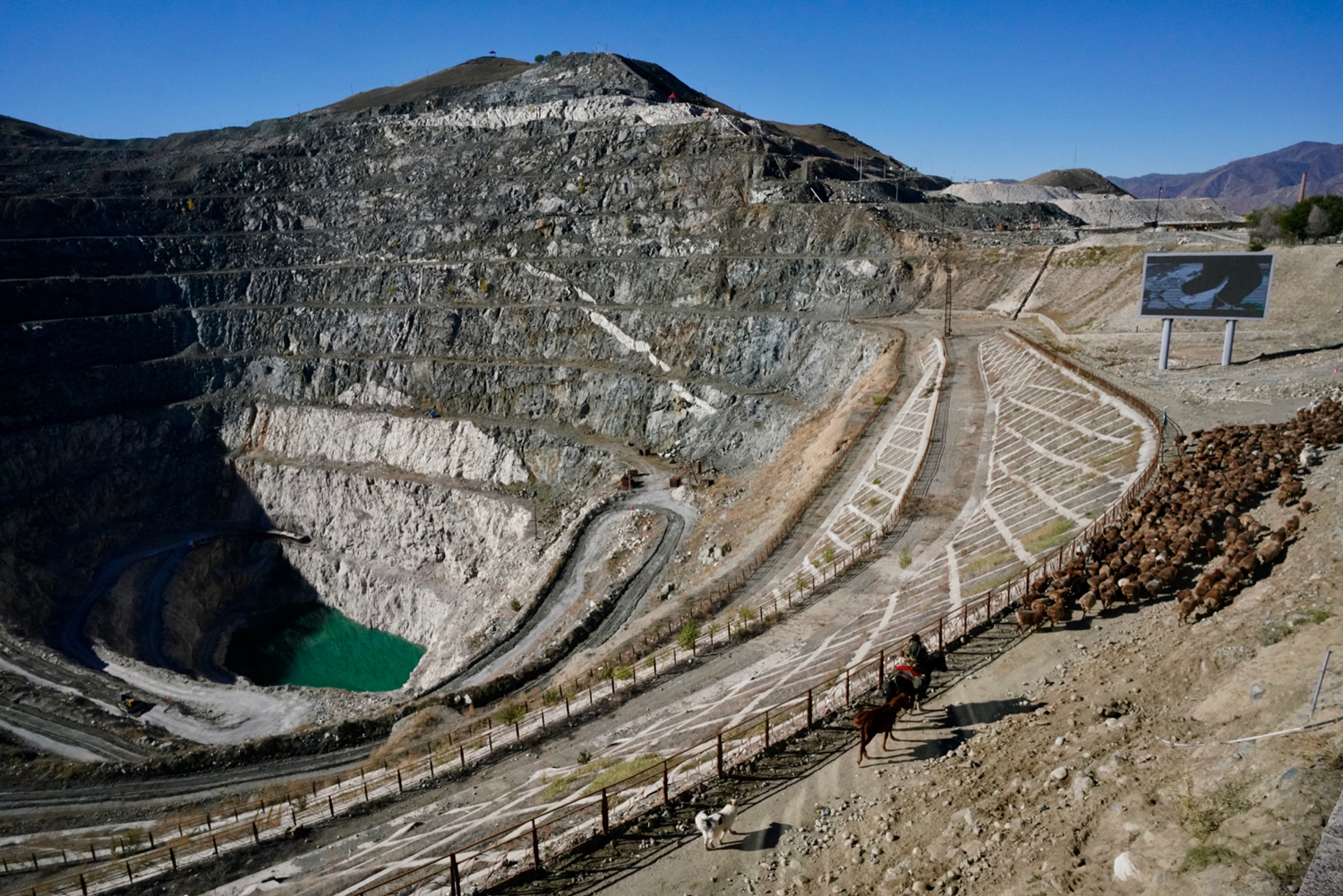 斗破苍穹老粉必看！正版免费观看渠道及支持正版的意义
