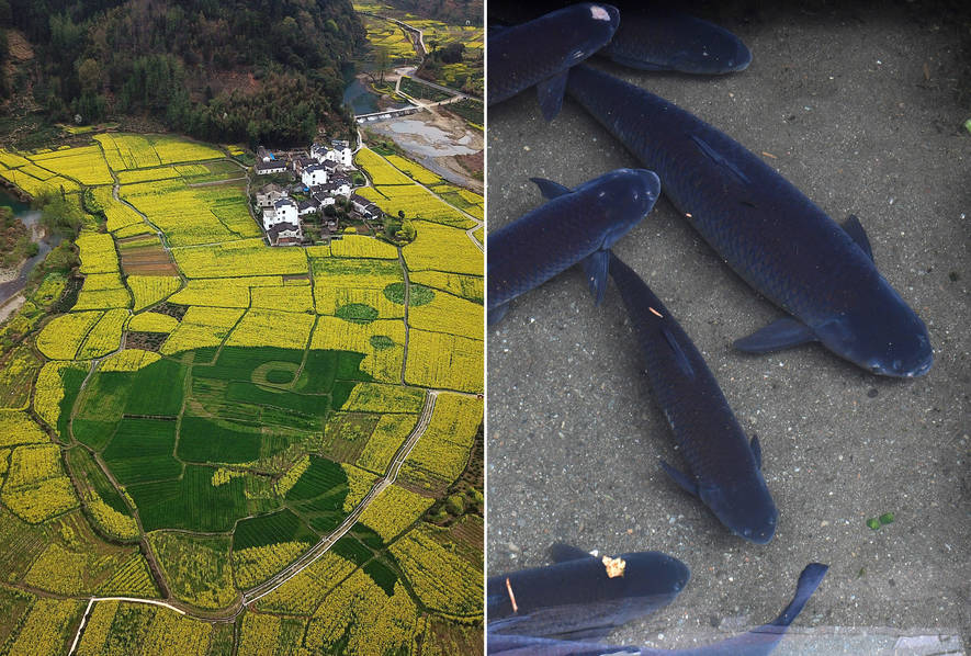 哔哩哔哩隐藏内容怎么找？特殊标签与搜索技巧是关键