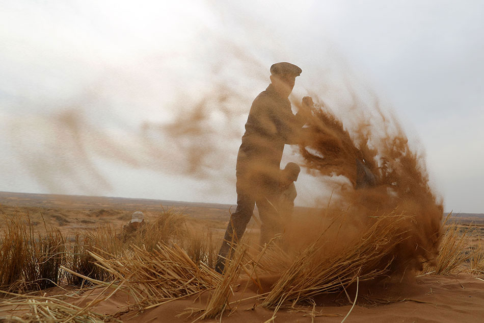 神医嫡女漫画在线全集免费阅读