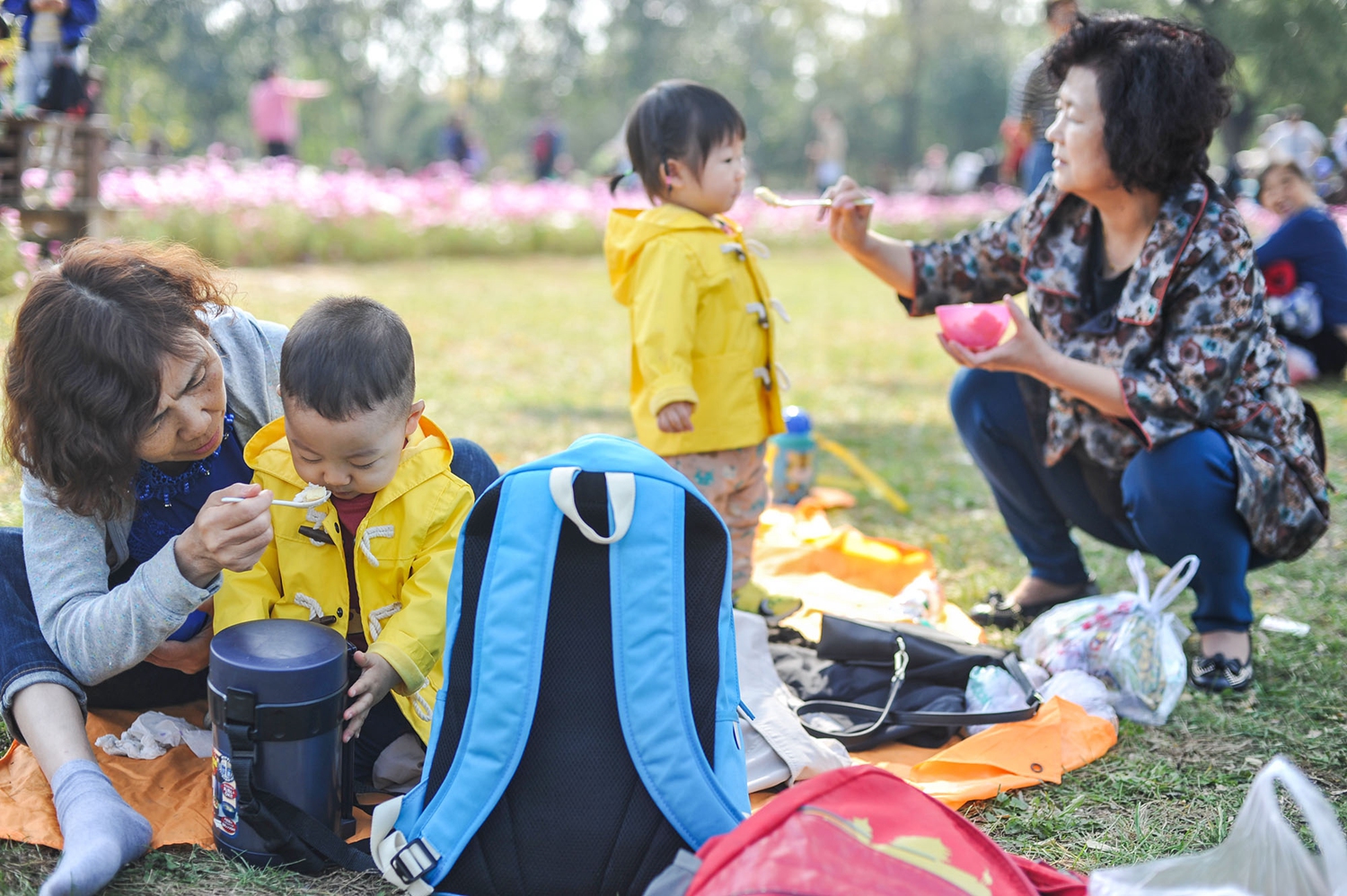 阅站漫画app最新版：免费搜索全网漫画，畅享多种便捷阅读体验