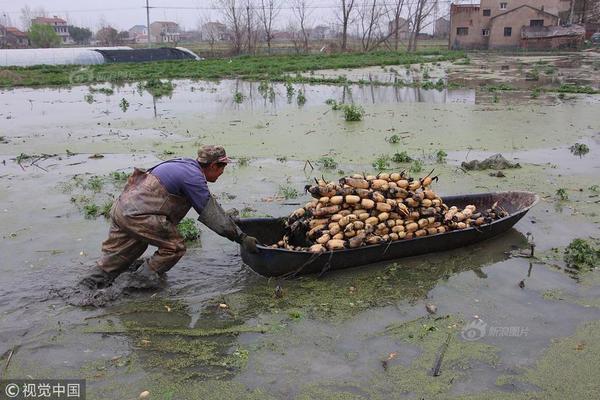 斗破苍穹老粉必看！正版免费观看渠道及支持正版的意义