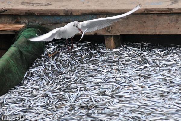 哔哩哔哩隐藏内容怎么找？特殊标签与搜索技巧是关键