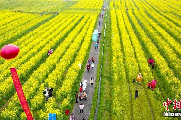 哔哩哔哩隐藏内容怎么找？特殊标签与搜索技巧是关键