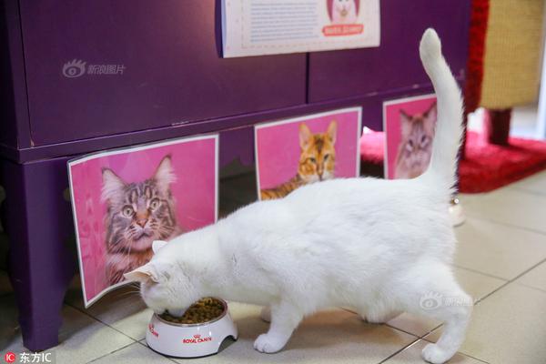 奇漫屋全职法师