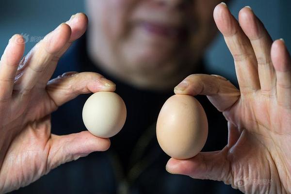 阅站漫画app最新版:免费搜索全网漫画,畅享多种便捷阅读体验