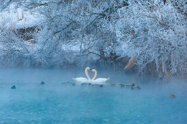 免费漫画阅站app下载安装无广告，畅享丰富漫画资源