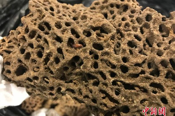 阅站漫画：资源丰富更新快，免费福利多，阅读体验超棒