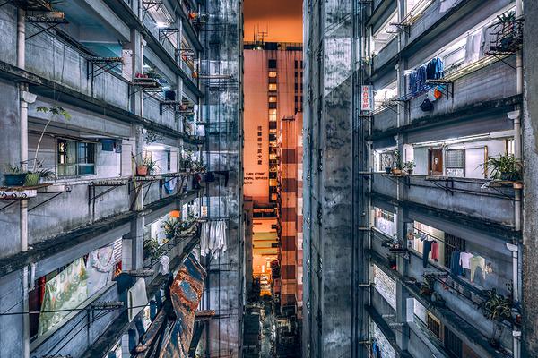 缘之空借兄妹情纠葛引发思索，为何对兄妹恋情描绘引争议？