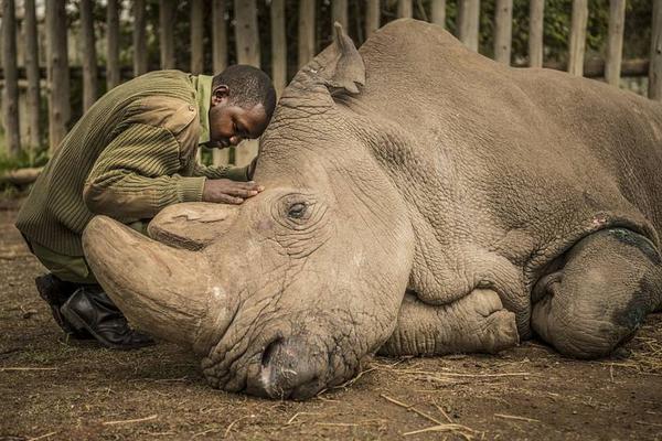 异世界搞笑冒险番为何吸引人？独特设定与反差角色是关键
