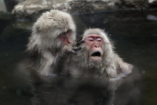 斗破苍穹老粉必看！正版免费观看渠道及支持正版的意义