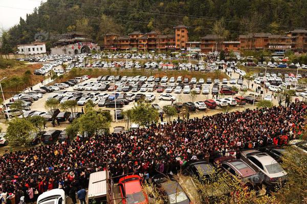 备受关注的死神230模型，设计与工艺究竟有多出色？