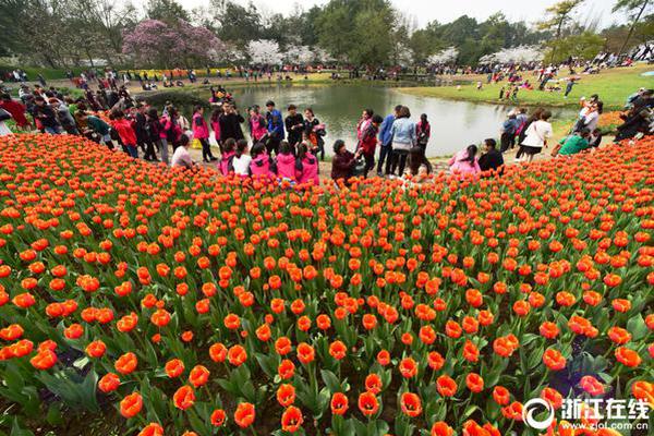 免费在线可阅读漫画成首选，却面临凯发k8国际首页登录的版权等难题待剖析？