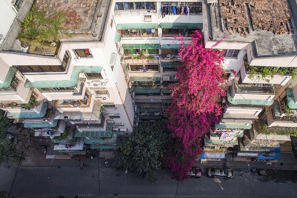 斗破苍穹老粉必看！正版免费观看渠道及支持正版的意义