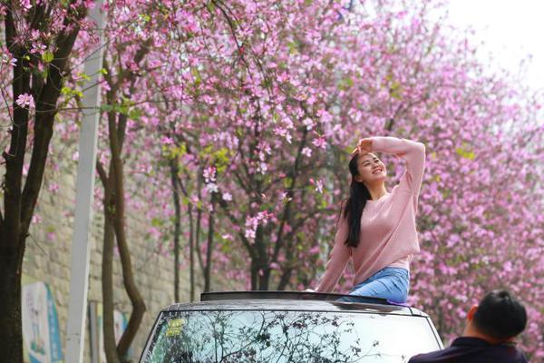 恋爱上分恋爱等级漫画