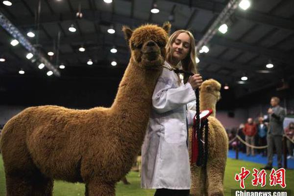 阅站漫画：资源丰富更新快，免费福利多，阅读体验超棒