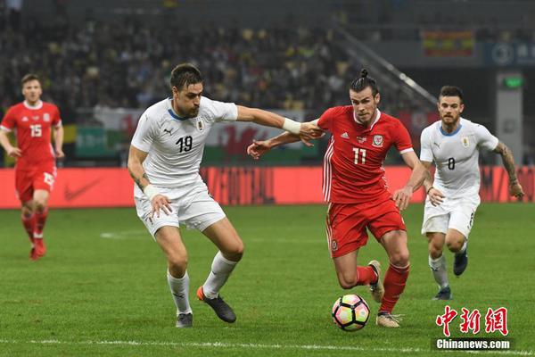 网络文学爱好者必读！新笔趣阁现状及使用建议大揭秘？