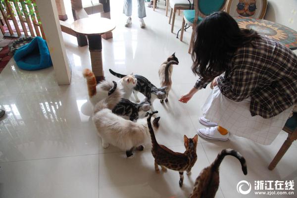 哔哩哔哩隐藏内容怎么找？特殊标签与搜索技巧是关键