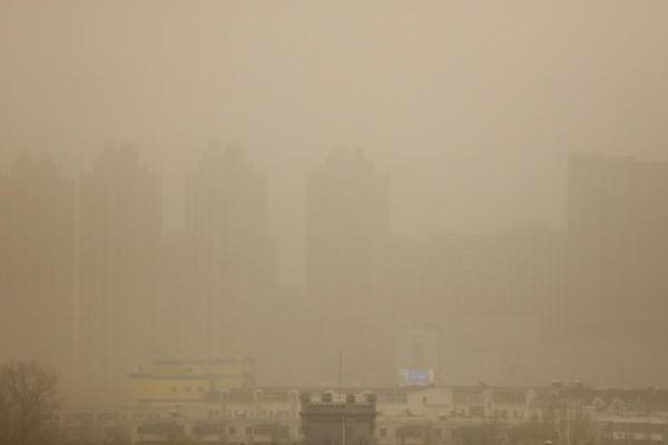 《海贼王第890集》在线观看