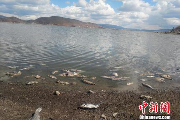 阅站漫画app最新版：免费搜索全网漫画，畅享多种便捷阅读体验