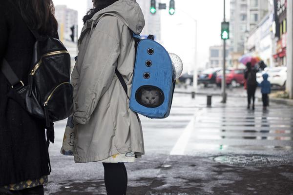 datealive 地铁逃生回归！biubiu免费加速，畅玩海量海内外精品手游