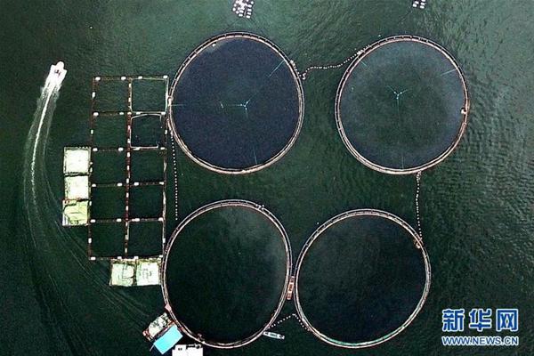 哔哩哔哩隐藏内容怎么找？特殊标签与搜索技巧是关键