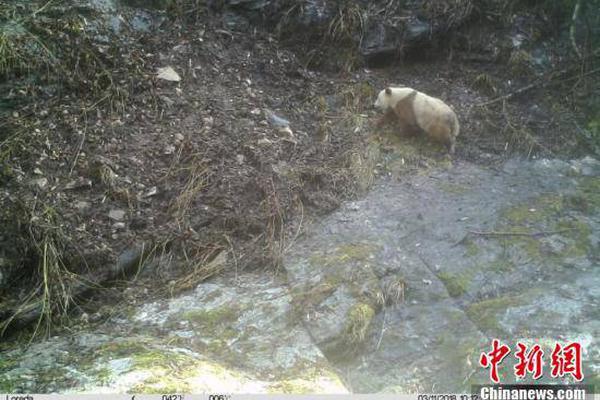 放学后高原阳子解析